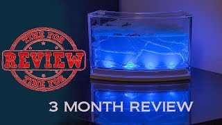 Best Ant Farm For Kids  Ant Farm for Beginners  Ant Dreamworks Review [upl. by Weinstein679]