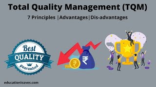 What is Total Quality management TQM  7 Principles of Total Quality Management [upl. by Asilegna908]