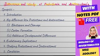 Difference and study of Protostomia and Deuterostomia Msc zoology notes [upl. by Adnohs]