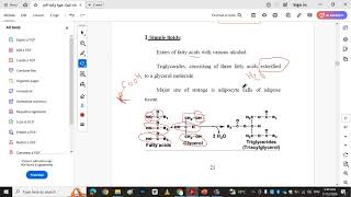 biochemistry lipid [upl. by Maxia907]