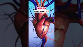 NEET biology CARDIAC cycle in 5 seconds 👇🏻 [upl. by Beltran253]