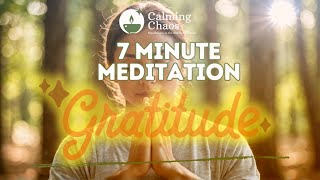 Discover Peace through 7Minute Thankfulness Meditation [upl. by Beutler655]