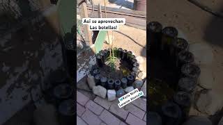 Aprendiendo a reciclar jardin reciclaje garden reciclarte plantas ecoideacrea [upl. by Mel474]