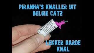 Piranahas Knallers uit Belgie cat 2 [upl. by Ultann693]