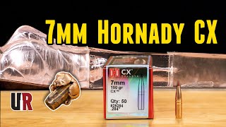 TESTED Hornady 7mm 150 grain CX Bullets wBallistics Gel 7mm Rem Mag [upl. by Akehsat]