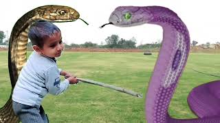 Cobra vs Cobra snake  snake video  snake fight movie [upl. by Maggy]