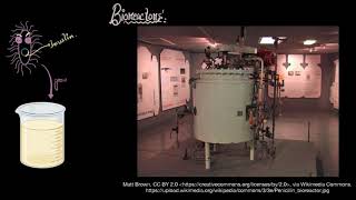 Bioreactors Simple stirred amp sparged  Biotechnology principles  Biology  Khan Academy [upl. by Judi]