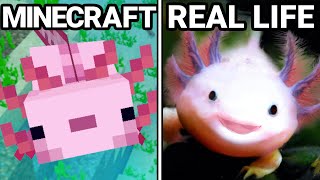 30 Minecraft Items VS Real Life [upl. by Danit]