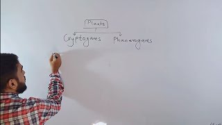 Classification of Plants  class 9  lecture 3 Cryptogams and Phanerogams [upl. by Elbertine]