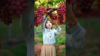 Some delicious and innovative fruits 😋😍🥭🍎🍓shorts nature fruit [upl. by Nosnah863]