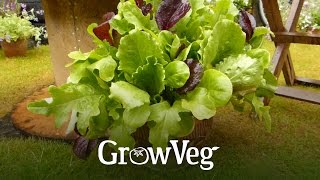 GrowVeg Organic Gardening Advice Apps amp Software [upl. by Uah815]