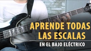 Aprende TODAS LAS ESCALAS en el Bajo en 9 Minutos  Tutorial [upl. by Eal]