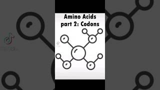 Amino acids explained part 2 Codons [upl. by Crocker269]