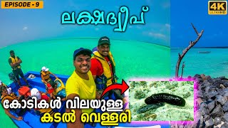 EP 9  Snorkeling in Lakshadweep Kalpeni Island  4K [upl. by Eniawed]