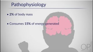 Therapeutic Hypothermia Treatment of Hypoxic Ischemic Encephalopathy Part 1 by D Casey [upl. by Shaff]