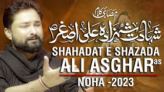 Nohay 2023  Shahadat e Shahzada Ali Asghar  Syed Raza Abbas Zaidi  Muharram 1445  2023 [upl. by Ellebasi]