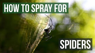 How to spray to get rid of spiders [upl. by Amalea]