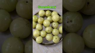 Gooseberry wineAmla wine Nellika wine [upl. by Anelet]