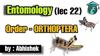 Order ORTHOPTERA • Entomology lec 22 • Go for Agriculture icar  bhu ibps entomology [upl. by Eiffe]