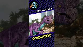 How to tame an Oviraptor [upl. by Heidy]