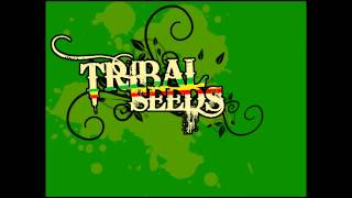 Tribal Seeds  Island Girl [upl. by Anyal]