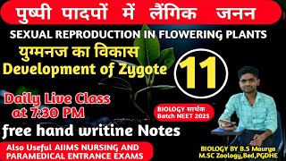 DEVELOPMENT OF ZYGOTE IN ANGIOSPERMS युग्मनज का विकास12th BiologyNEET BIOLOGYBIOLOGY CONCEPT [upl. by Lemaceon]