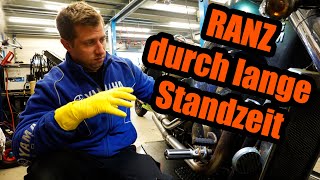 Lange Standzeit zerfrisst das Motorrad  Honda VT 750C Shadow [upl. by Yarahs]