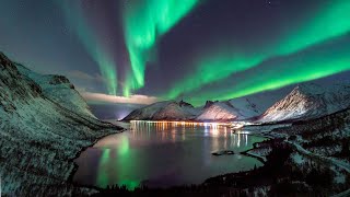 4K Northern Lights Timelapse  Tromsø  Norway  December 2021 [upl. by Jollenta]