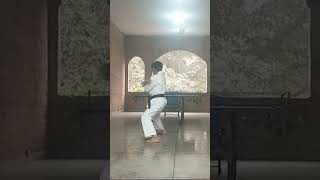 hian sundaan hassanshotokan basic skills syed mohsin shah [upl. by Elyc]