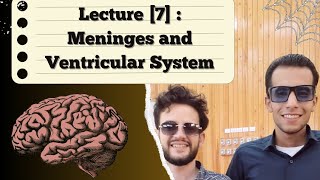 CNS Anatomy Lecture 7 Meninges amp Ventricular System Dr Ibrahiem Antar [upl. by Gile]