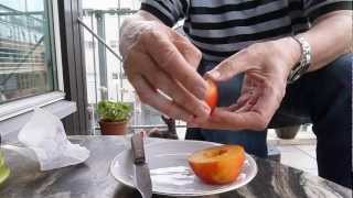 How to eat a Nectarine [upl. by Latonia]