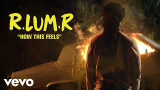 RLUMR  How This Feels Lyric Video [upl. by Akiehsal747]