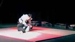 Brazilian Jiu Jitsu Demonstration [upl. by Glavin]