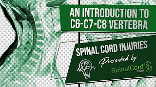 C6 C7 C8 Definitions Cervical Spinal Cord Injury Symptoms Causes Treatments and Recovery [upl. by Valdas]