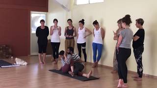 Ashtanga Vinyasa Yoga  Glimpses [upl. by Derwon46]