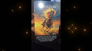 Quick spiritanimal Message Rebirth amp Freedom Transformations Are Occurring spiritualmessages new [upl. by Nicholas187]