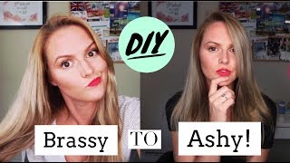 DIY HAIR  Brassy to ASHY Wella T14 [upl. by Akinert103]