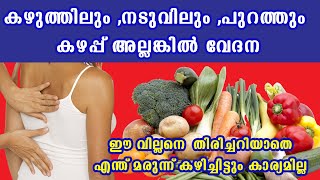 കഴുത്തിലും നടുവിലും പുറത്തും കഴപ്പ് അല്ലങ്കിൽ വേദന യഥാർത്ഥ കാരണം ഇതാണ് Baijus Vlogs [upl. by Naibaf210]