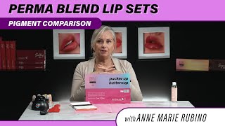 Perma Blend Signature Lip Set BREAKDOWN  Watch Anne Marie Mix amp Blend UNREAL Pigments [upl. by Meg387]