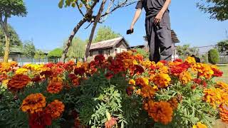 Behesti  Zehra  Nimazgah  Ashoora  Park  Budgam  Kashmir  بہشت زہرا و [upl. by Iago600]