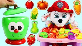 Paw Patrol Marshall Learns with Talking Fruit Jar [upl. by Nylisoj]