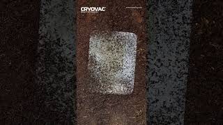 Watch the CRYOVAC® Compostable Tray break down compostablepackaging compost cryovac [upl. by Burnside]