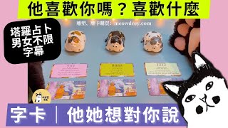 塔羅占卜🔮他她喜歡我嗎？ 喜歡什麼😍 ｜他她想對你說的話｜字卡【簡繁字幕】 [upl. by Holly]