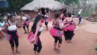 Wungara dancers  Taita songs [upl. by Obmar]