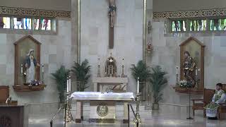 Catholic Mass for Sunday June 23rd 2024 Twelfth Sunday of Ordinary Time [upl. by Rego]