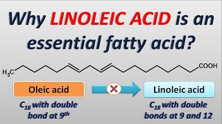 Why Linoleic acid is an essential fatty acid [upl. by Etra702]