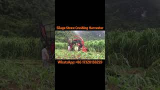 Silage Straw Crushing Harvester Crush and Recover Stalks Turning into Valuable Feed for Livestock [upl. by Aivatahs]