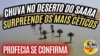 CHUVA NO DESERTO DO SAARA SURPREENDE OS MAIS CÉTICOS [upl. by Reffotsirk]