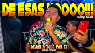 TEMA ESTRENO  DEJARIA TODO POR TI  SONIDO FAMOSO  DOMINGO ARENAS JULIO 2024 [upl. by Idnahs]