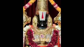 Balaji Tirupati Tirumal tamil balaji tirupati tirumala shortvideo viralvideo ytshorts [upl. by Bradman]